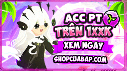 ACC PT 1XXK
