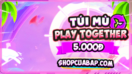 TÚI MÙ 5K